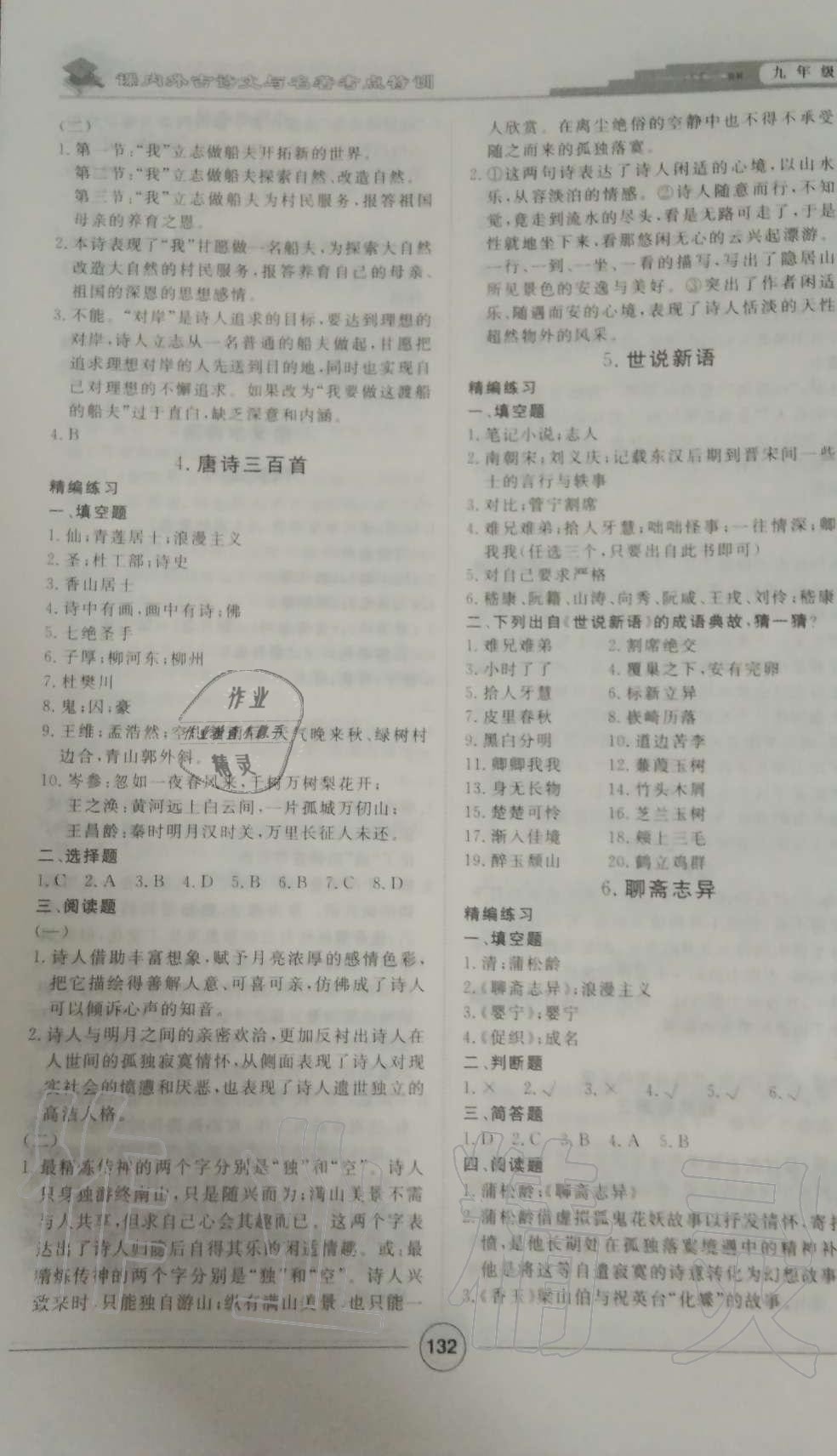 2019年課內(nèi)外古詩文與名著考點特訓(xùn)九年級語文全一冊人教版 第24頁