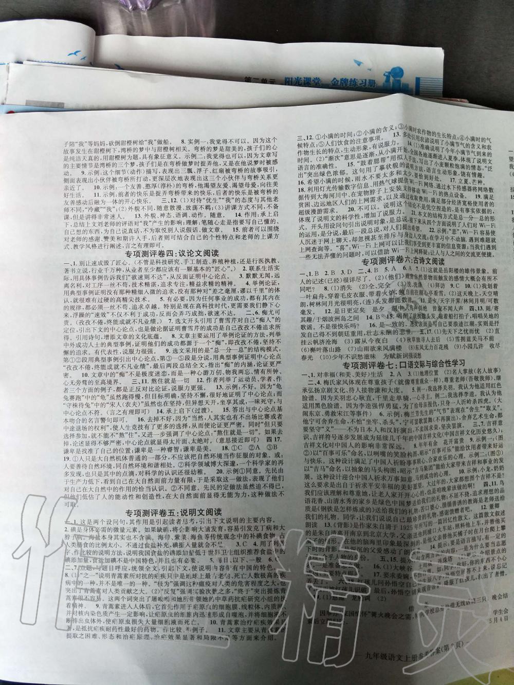 2019年學(xué)業(yè)評價測試卷九年級語文下冊人教版 第3頁