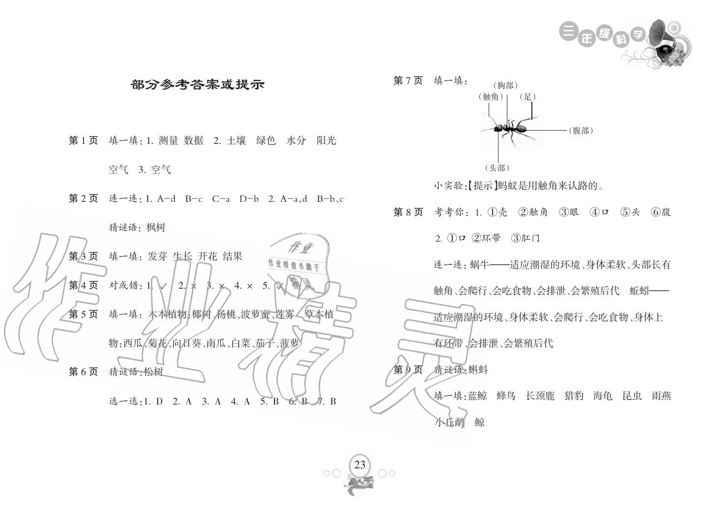 2019年寒假樂園海南出版社三年級科學寒假作業(yè)人教版 第1頁