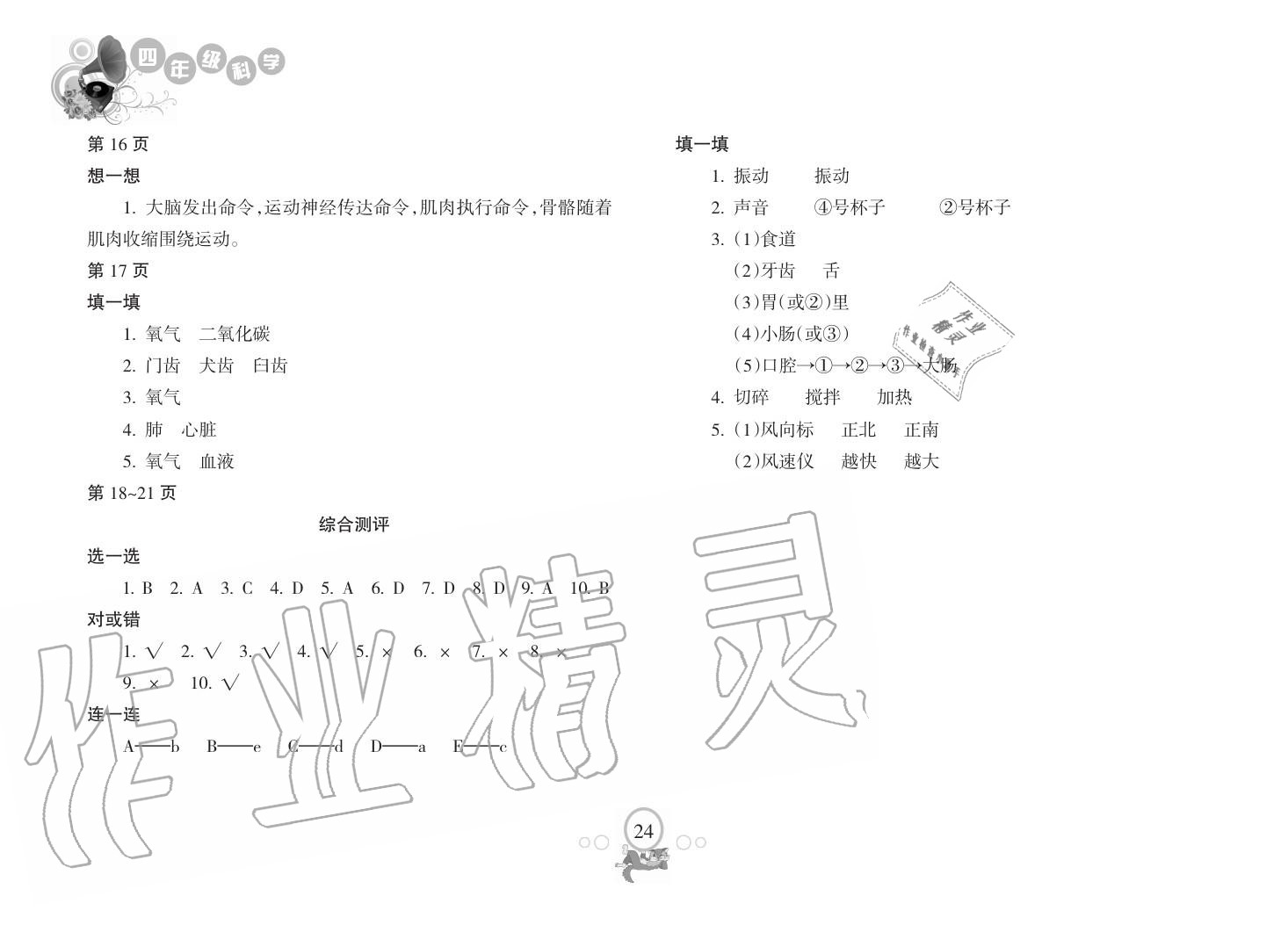 2019年寒假樂園海南出版社四年級科學(xué)寒假作業(yè)人教版 第3頁