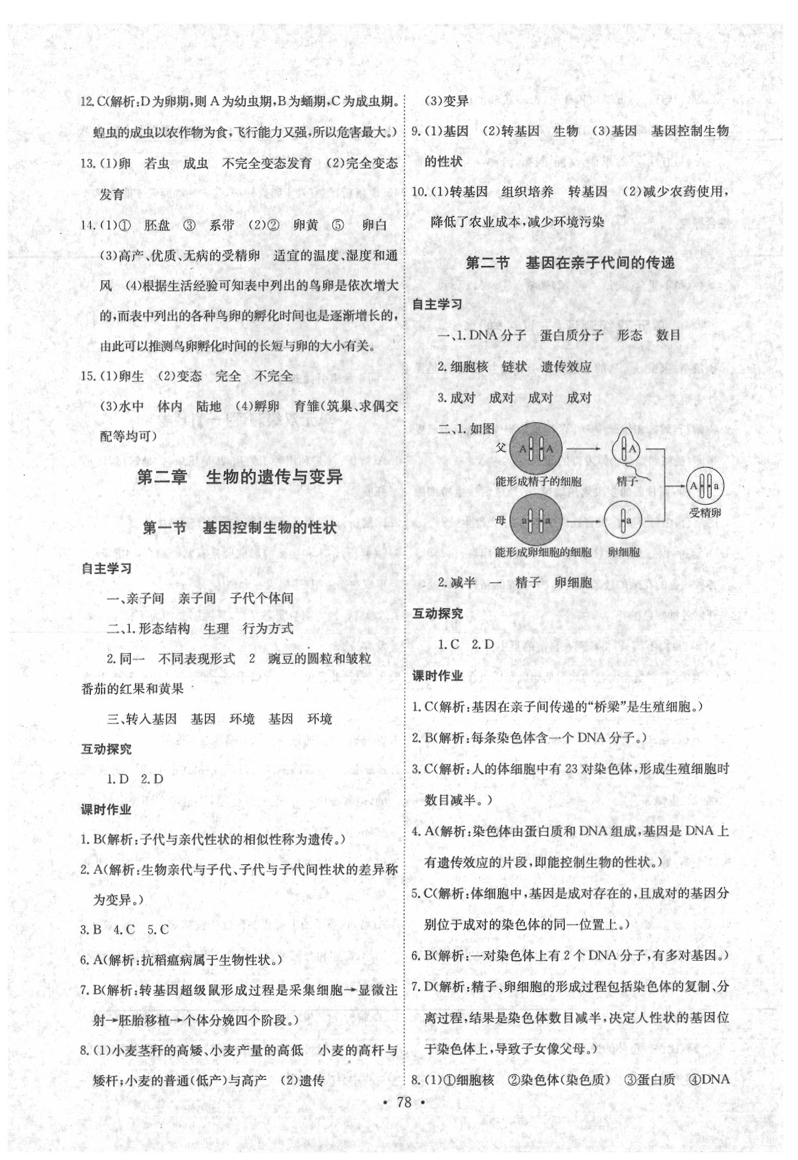 2020年長江全能學(xué)案同步練習(xí)冊八年級生物學(xué)下冊人教版 參考答案第4頁