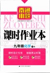 2020年南通小題課時作業(yè)本九年級化學(xué)下冊人教版