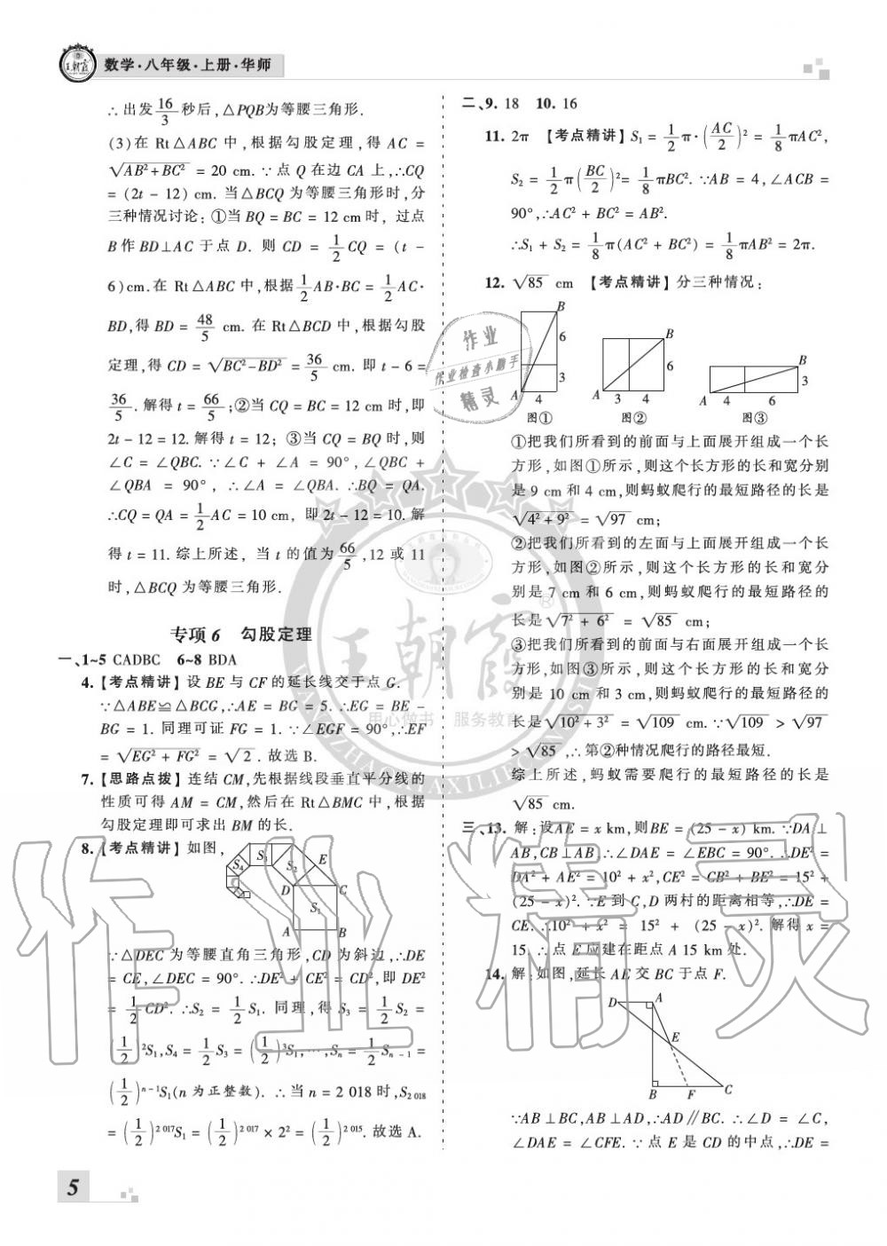 2019年王朝霞各地期末试卷精选八年级数学上册华师大版九县七区专版 第5页