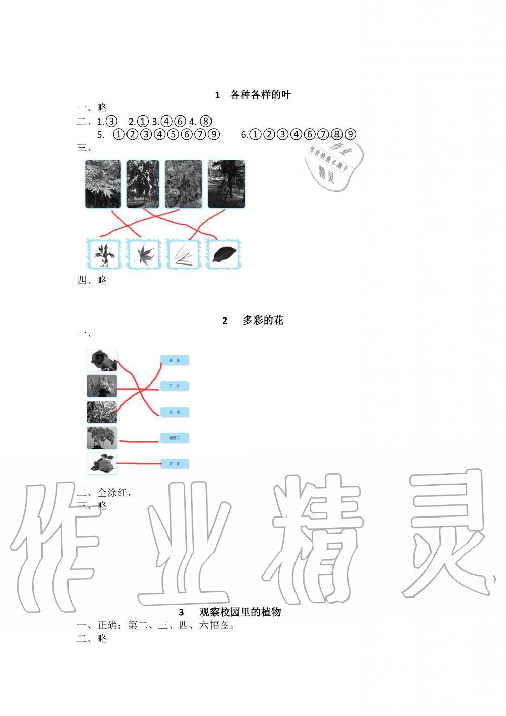 2019年長江作業(yè)本同步練習(xí)冊一年級科學(xué)下冊鄂教版 第1頁