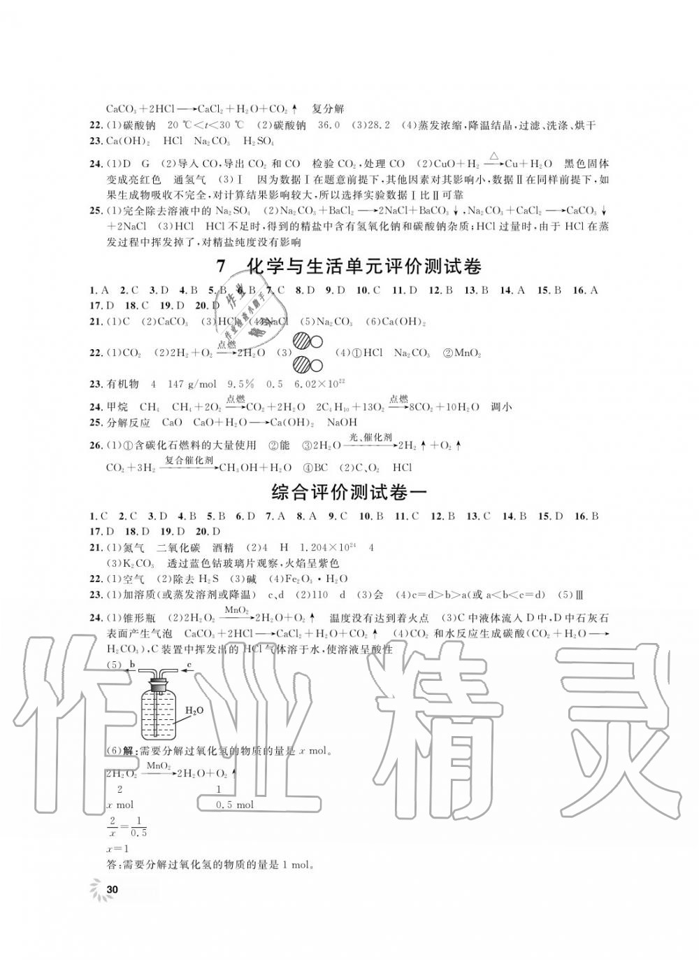 2019年上海作業(yè)九年級化學上冊滬教版 第31頁