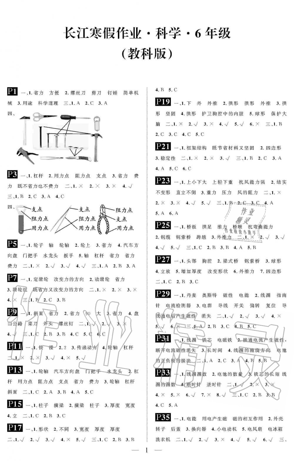 2020年長江寒假作業(yè)崇文書局六年級科學(xué)寒假作業(yè)教科版 第1頁