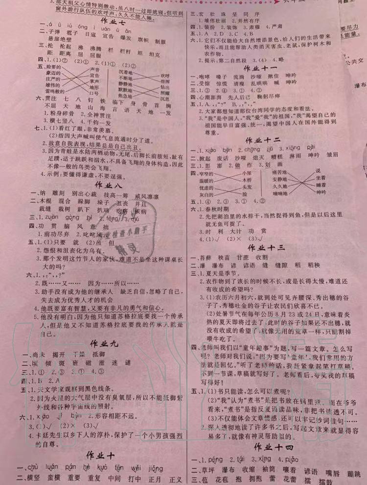 2020年寒假作业内蒙古人民出版社六年级语文寒假作业人教版 参考答案第2页