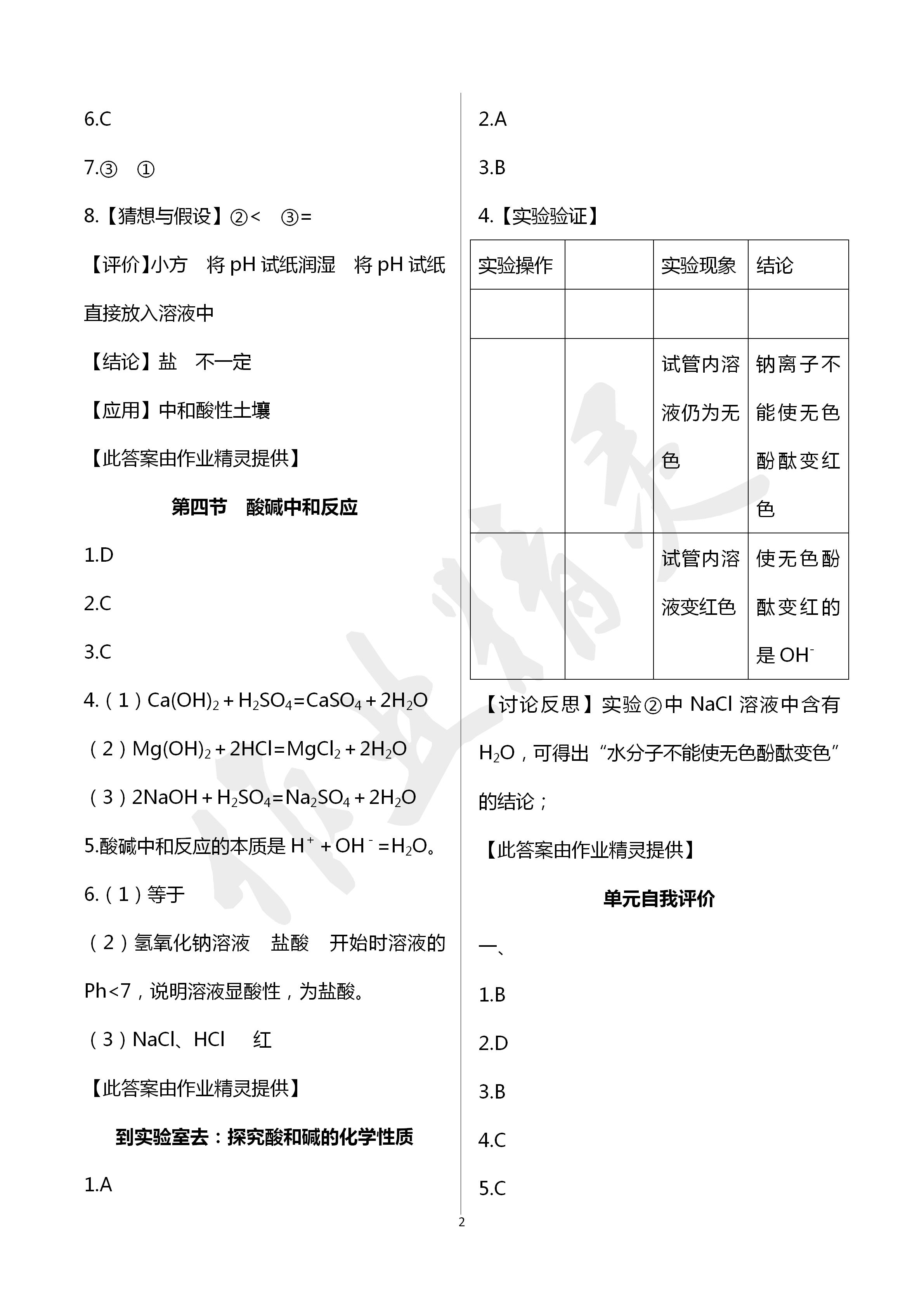 2020年化学补充习题九年级下册鲁教版山东教育出版社 第2页