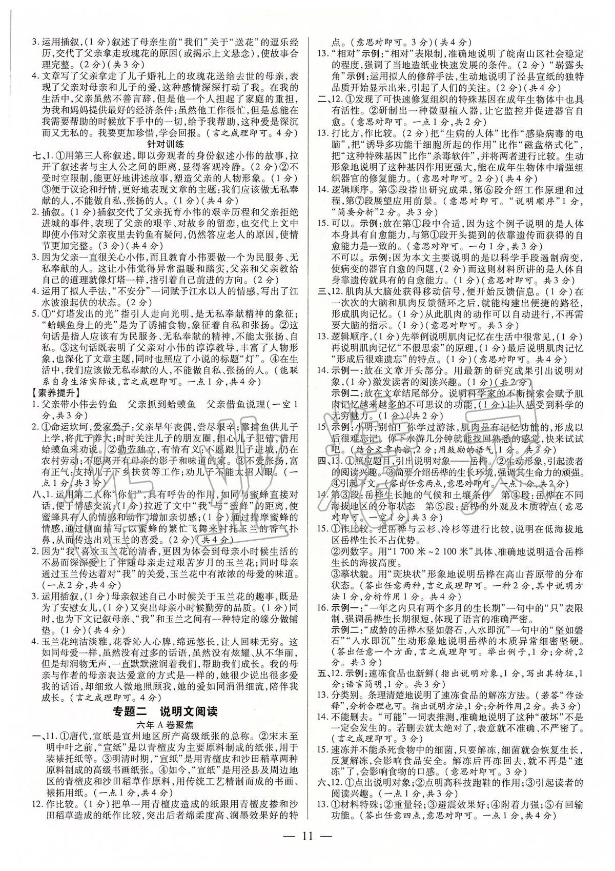 2020年领跑中考九年级语文中考用书人教版河南专版 第11页