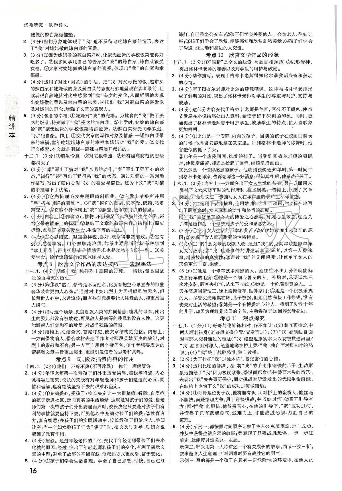 2020年萬(wàn)唯教育中考試題研究九年級(jí)語(yǔ)文陜西專版 第16頁(yè)