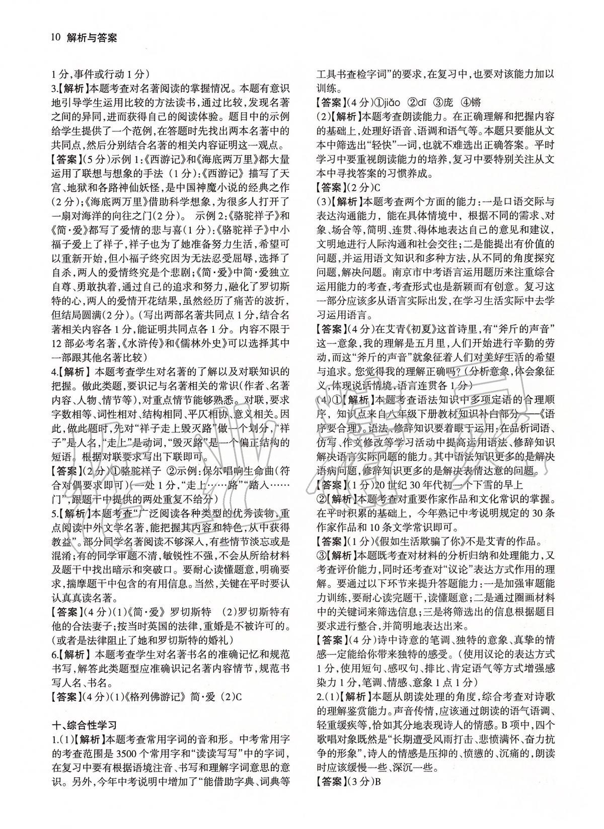 2020年南京市各區三年中考模擬卷分類詳解語文 第10頁