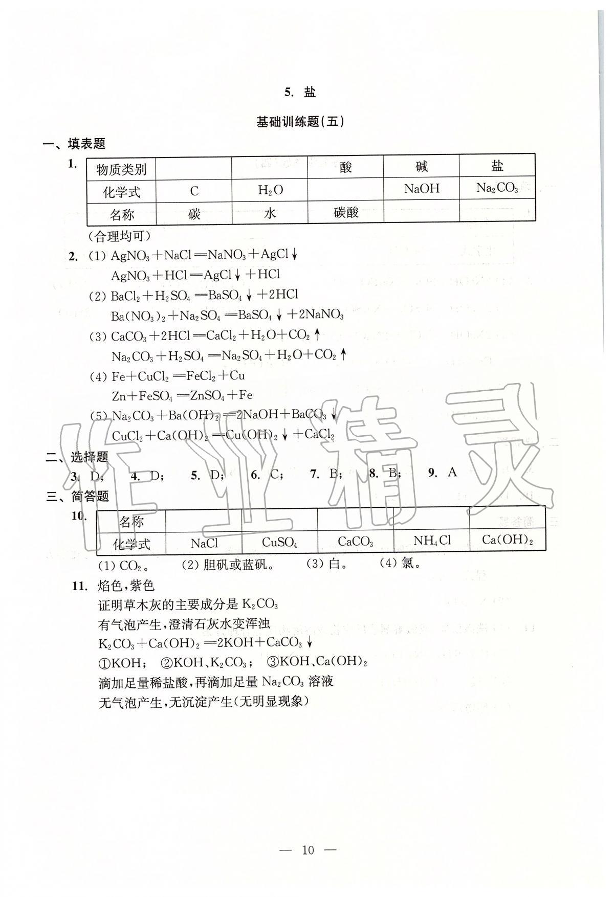 2020年初中化學(xué)測試與評(píng)估 第10頁