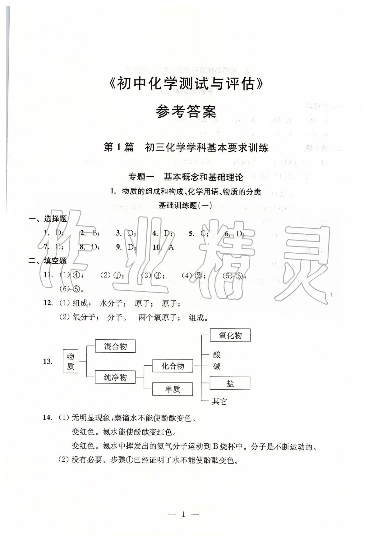 2020年初中化學(xué)測試與評估 第1頁