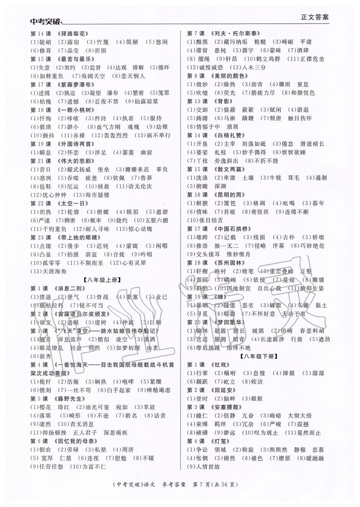2020年中考突破九年級(jí)語(yǔ)文 第7頁(yè)