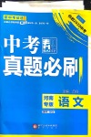 2020年中考真題必刷語文河南專版