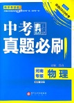 2020年中考真題必刷物理河南專版