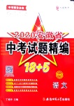 2020年中考试题精编18+5九年级语文