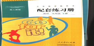 2020年配套練習(xí)冊人民教育出版社九年級英語下冊人教版