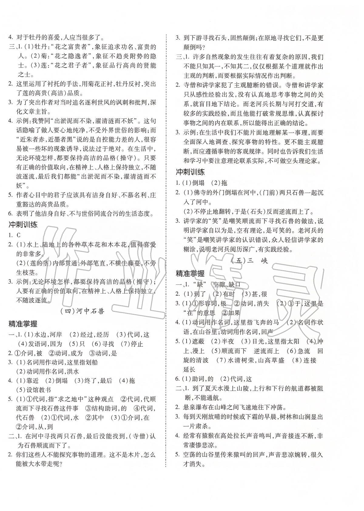 2020年本土攻略精准复习方案九年级语文全一册 第8页