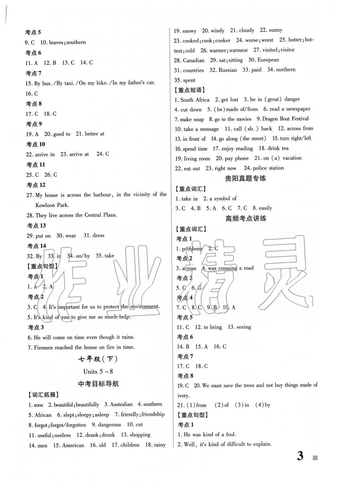 2020年貴州中考總復(fù)習(xí)終極備戰(zhàn)英語 第3頁