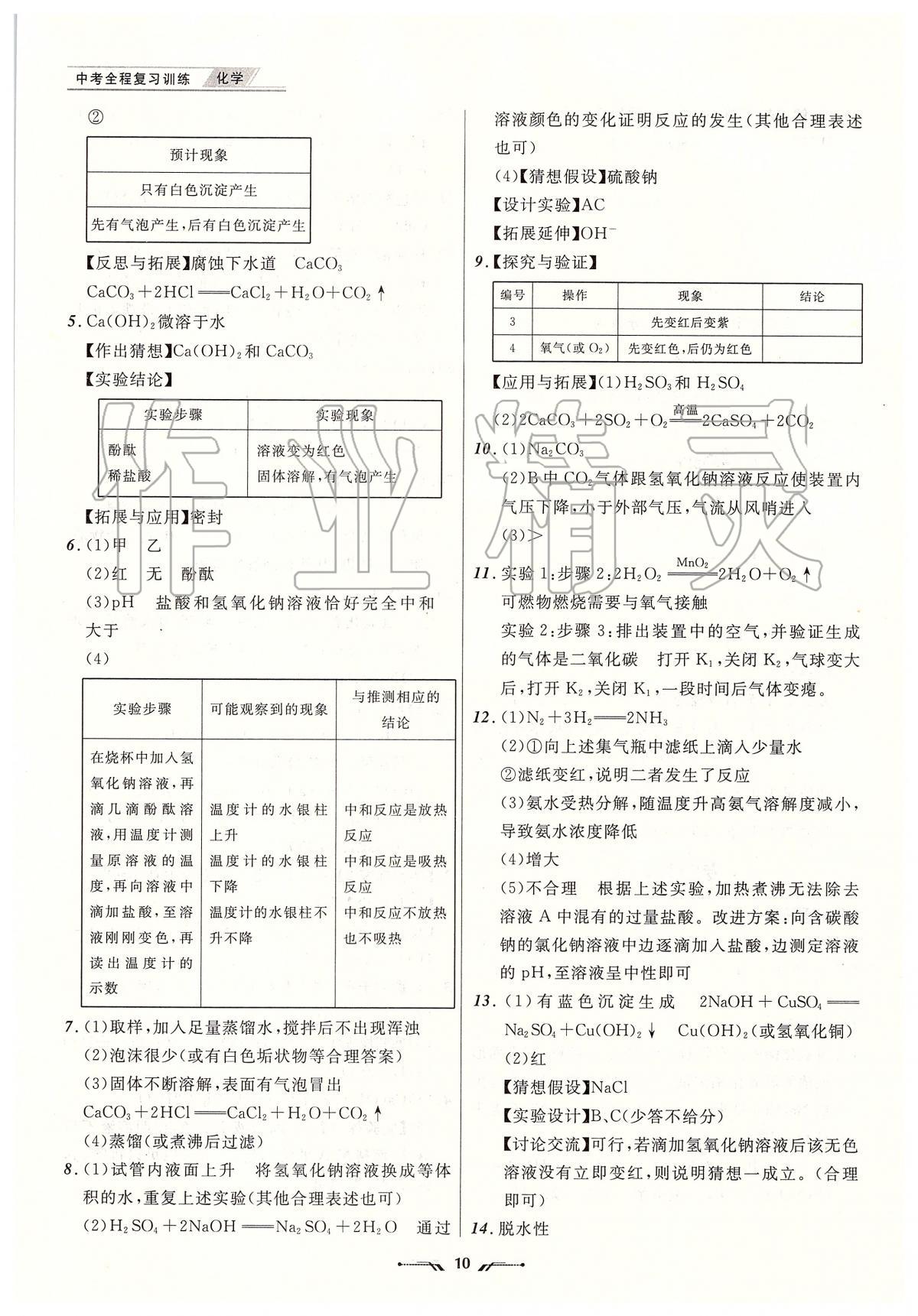 2020年中考全程复习训练化学大连专版 第10页