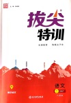 2020年拔尖特訓(xùn)二年級語文下冊人教版