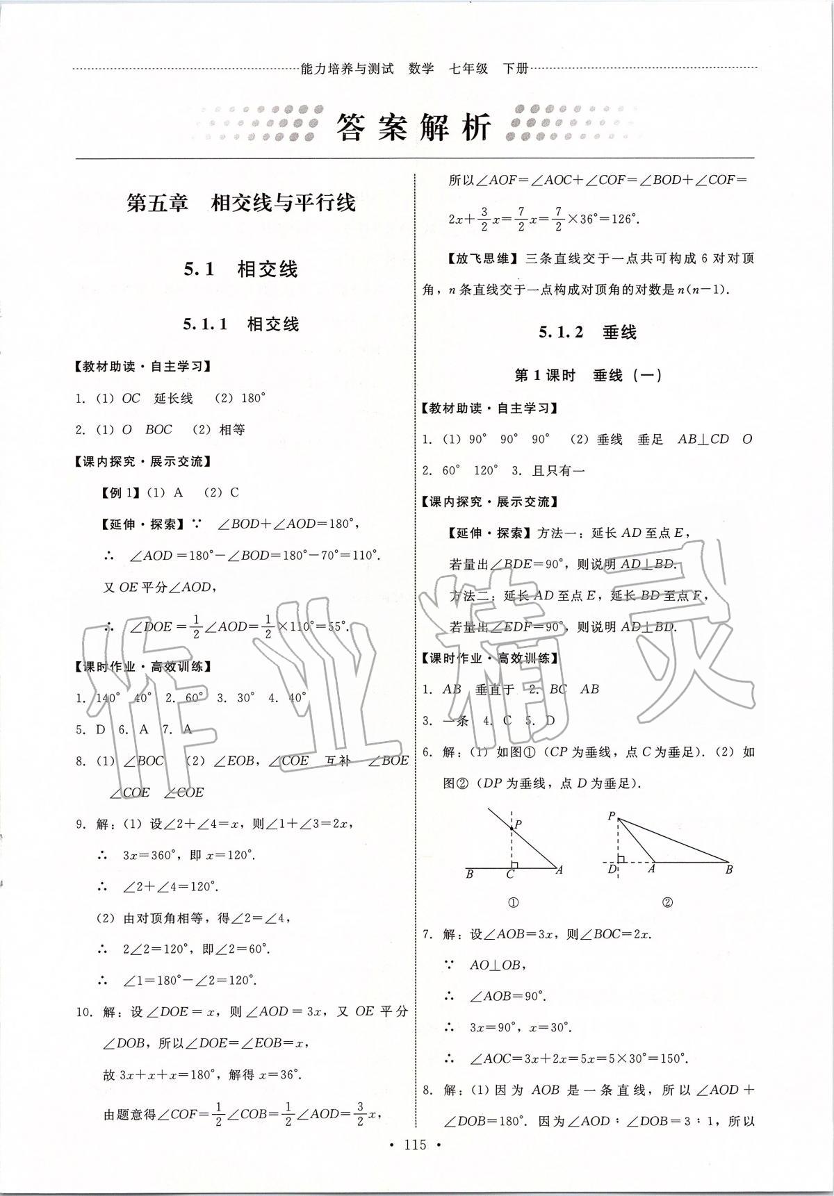 2020年能力培养与测试七年级数学下册人教版河北专版 第1页