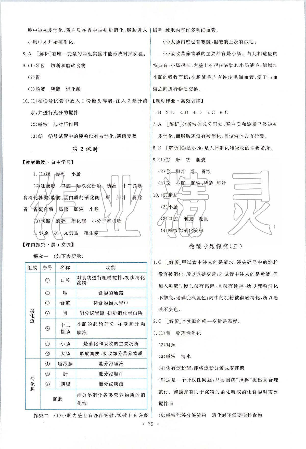 2020年能力培養(yǎng)與測試七年級生物下冊人教版 第5頁