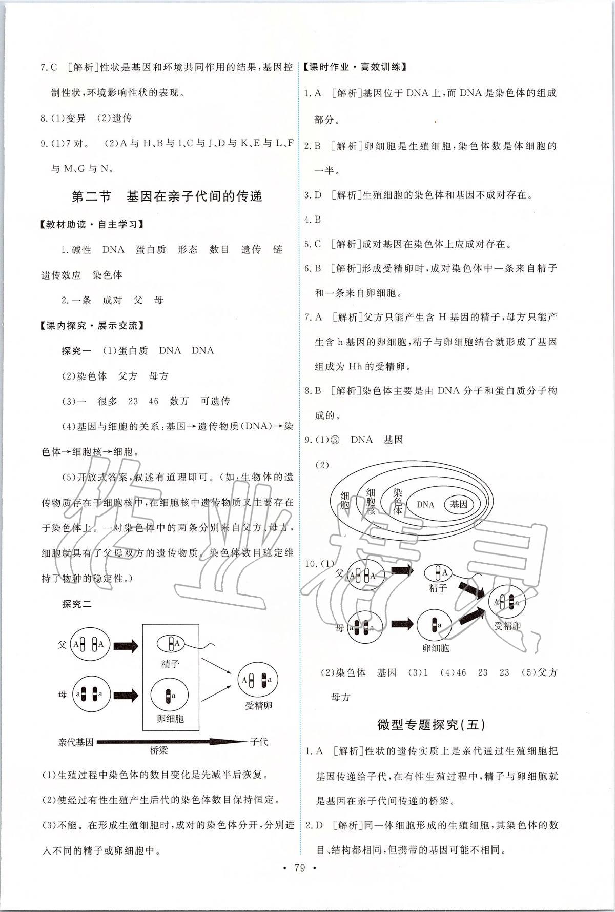 2020年能力培養(yǎng)與測(cè)試八年級(jí)生物下冊(cè)人教版 第5頁(yè)