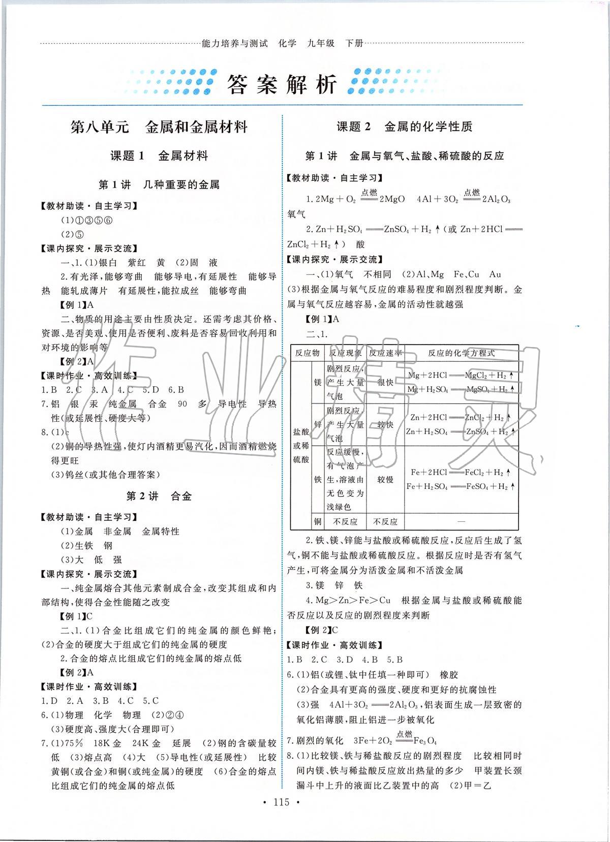 2020年能力培养与测试九年级化学下册人教版 第1页