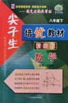 尖子生培優教材八年級數學下冊精編版