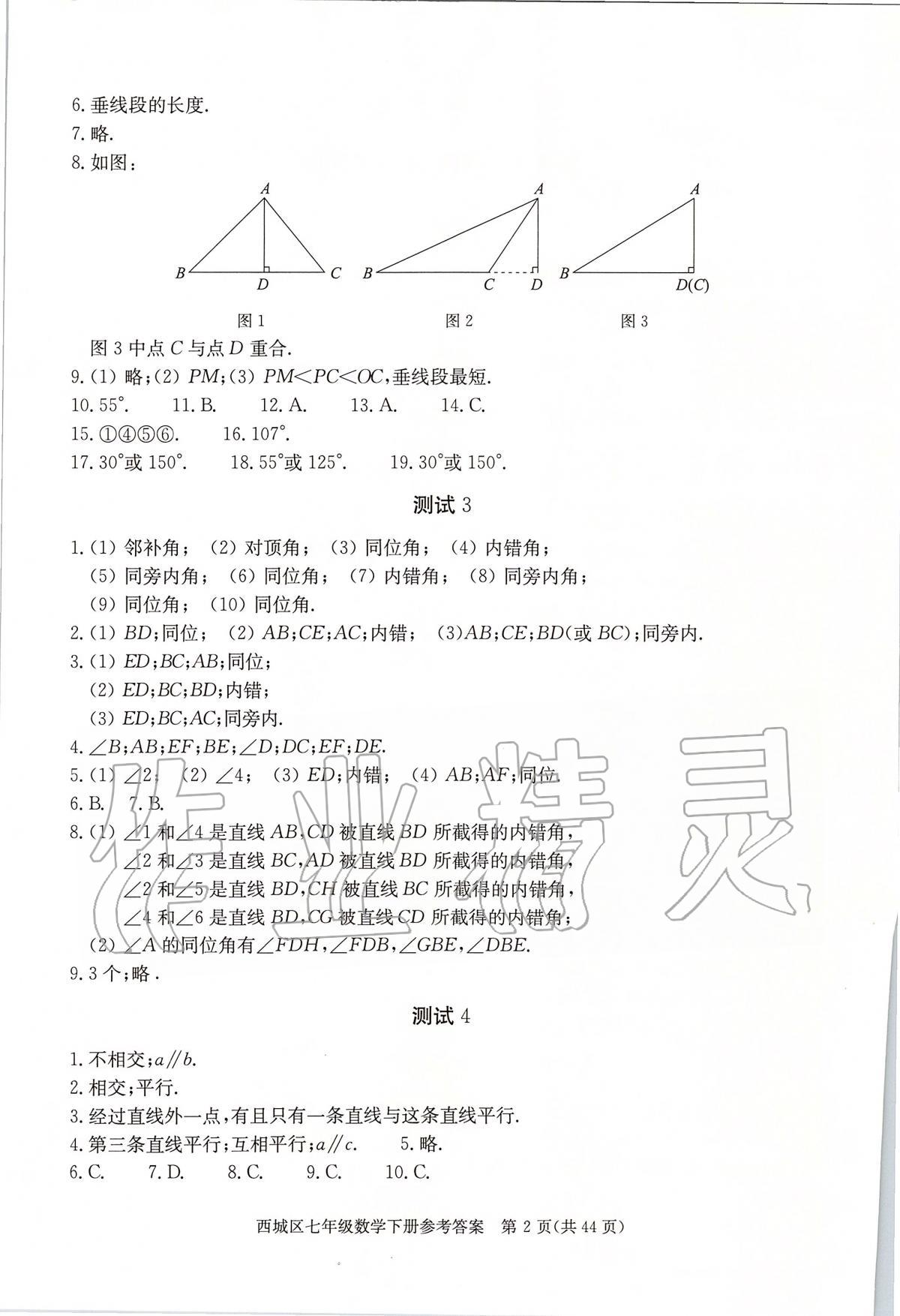 2020年學(xué)習(xí)探究診斷七年級(jí)數(shù)學(xué)下冊(cè)人教版 參考答案第2頁