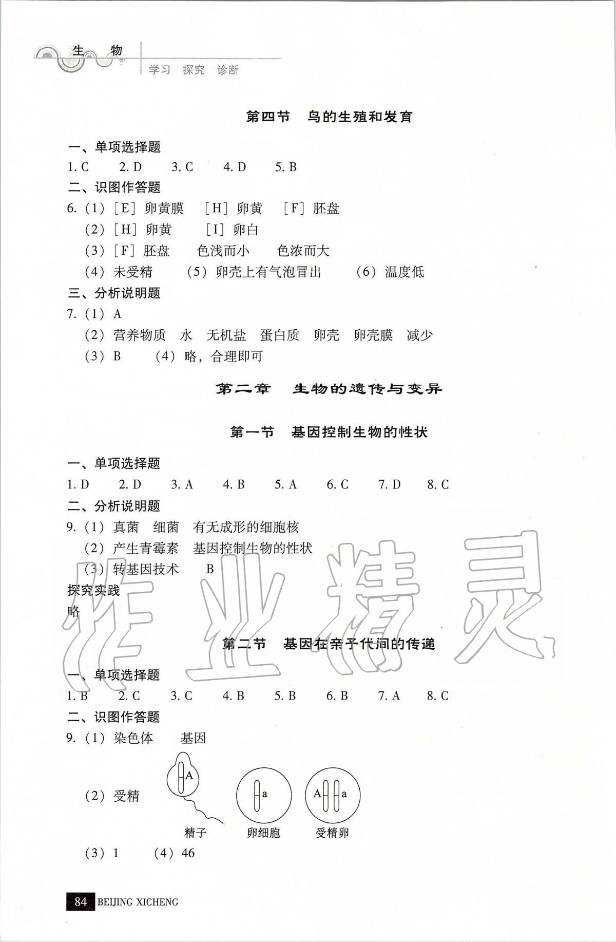 2020年學(xué)習(xí)探究診斷八年級(jí)生物下冊(cè)人教版 第2頁(yè)