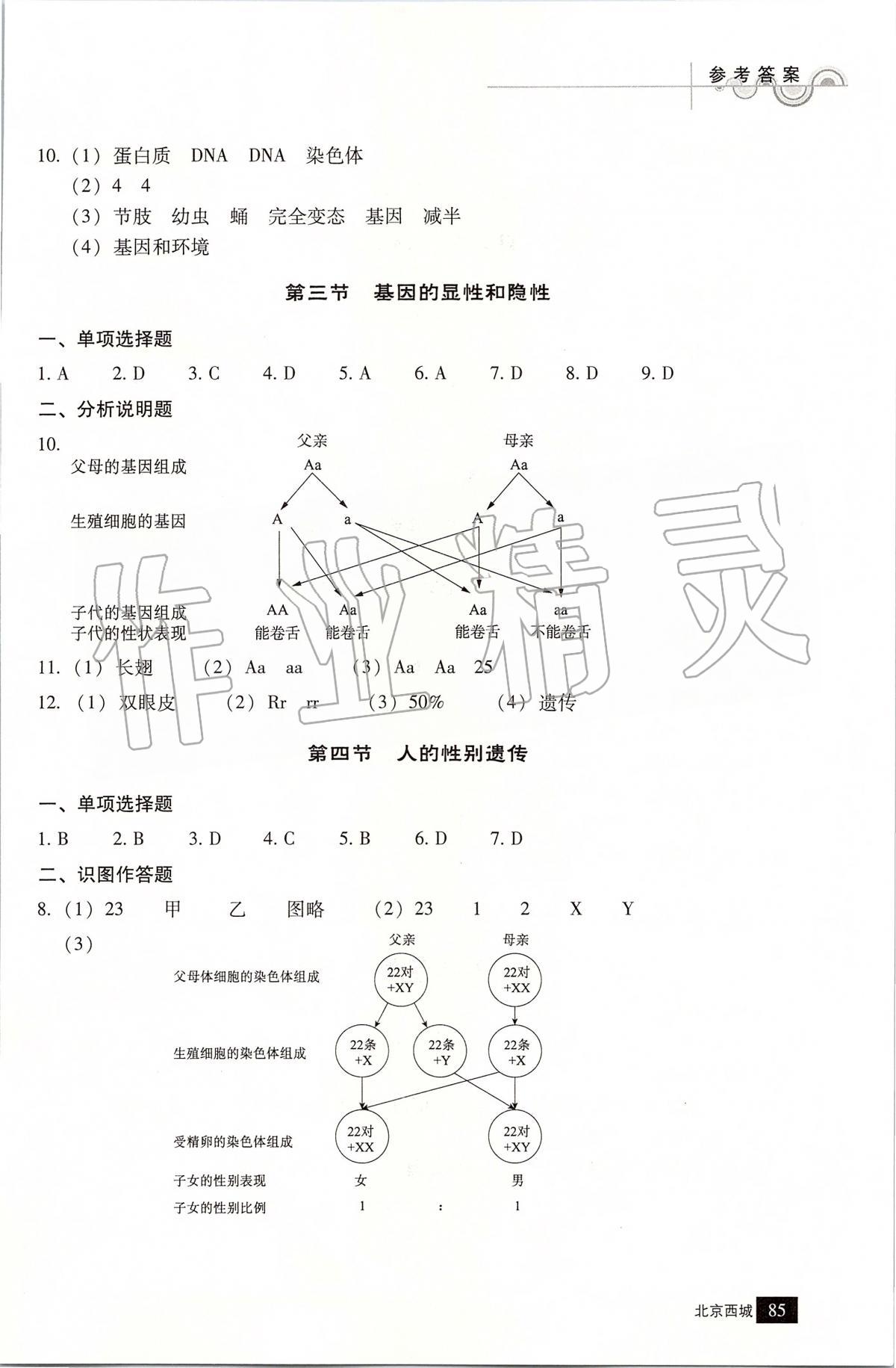 2020年学习探究诊断八年级生物下册人教版 第3页