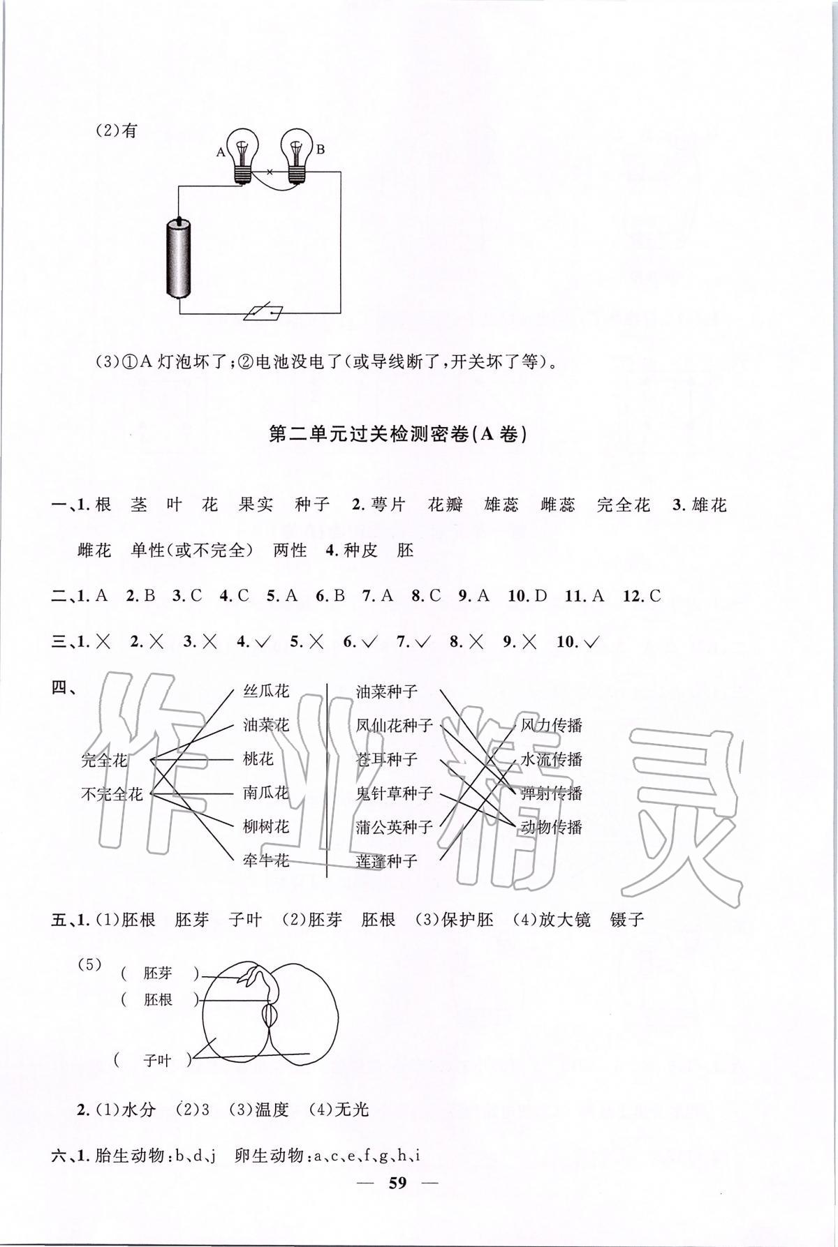 2020年陽光同學(xué)一線名師全優(yōu)好卷四年級(jí)科學(xué)下冊(cè)教科版 第3頁