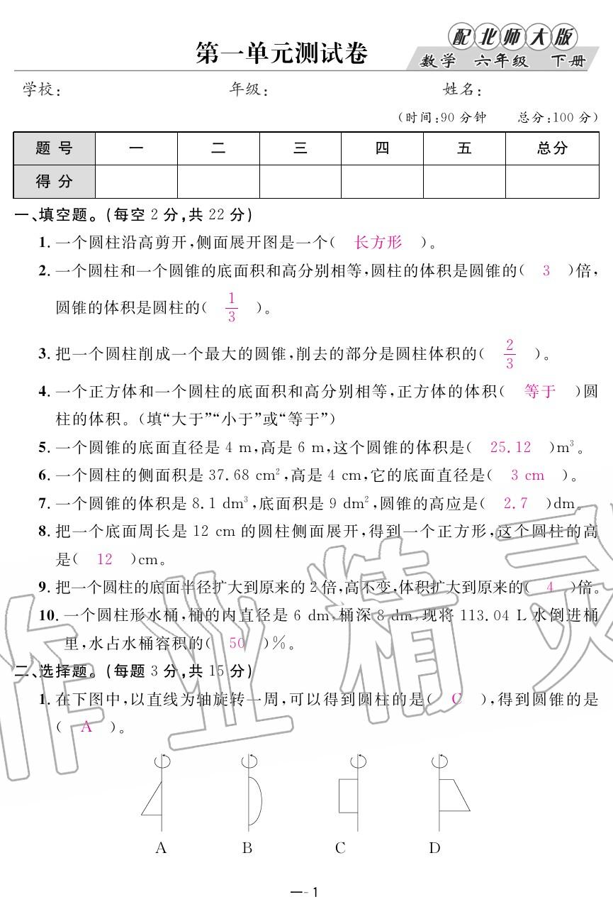 2020年領(lǐng)航新課標練習冊六年級數(shù)學下冊北師大版 第1頁