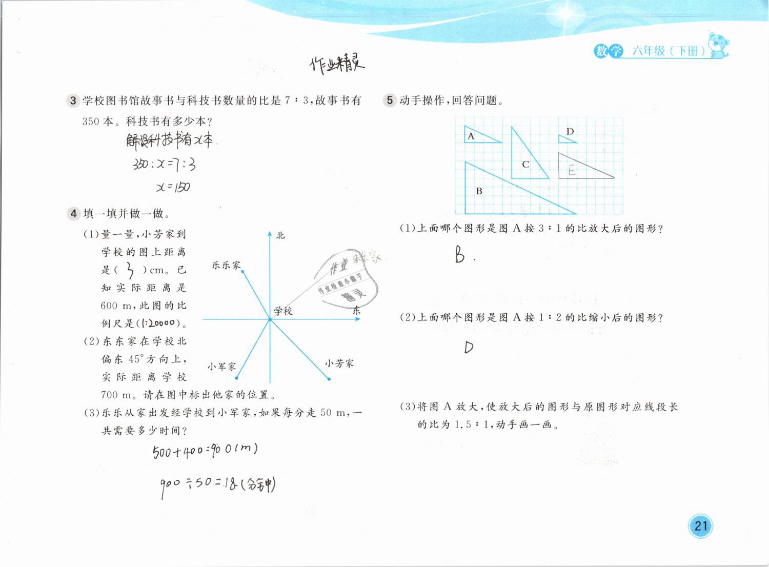 2020年新編基礎訓練六年級數(shù)學下冊北師大版 第21頁