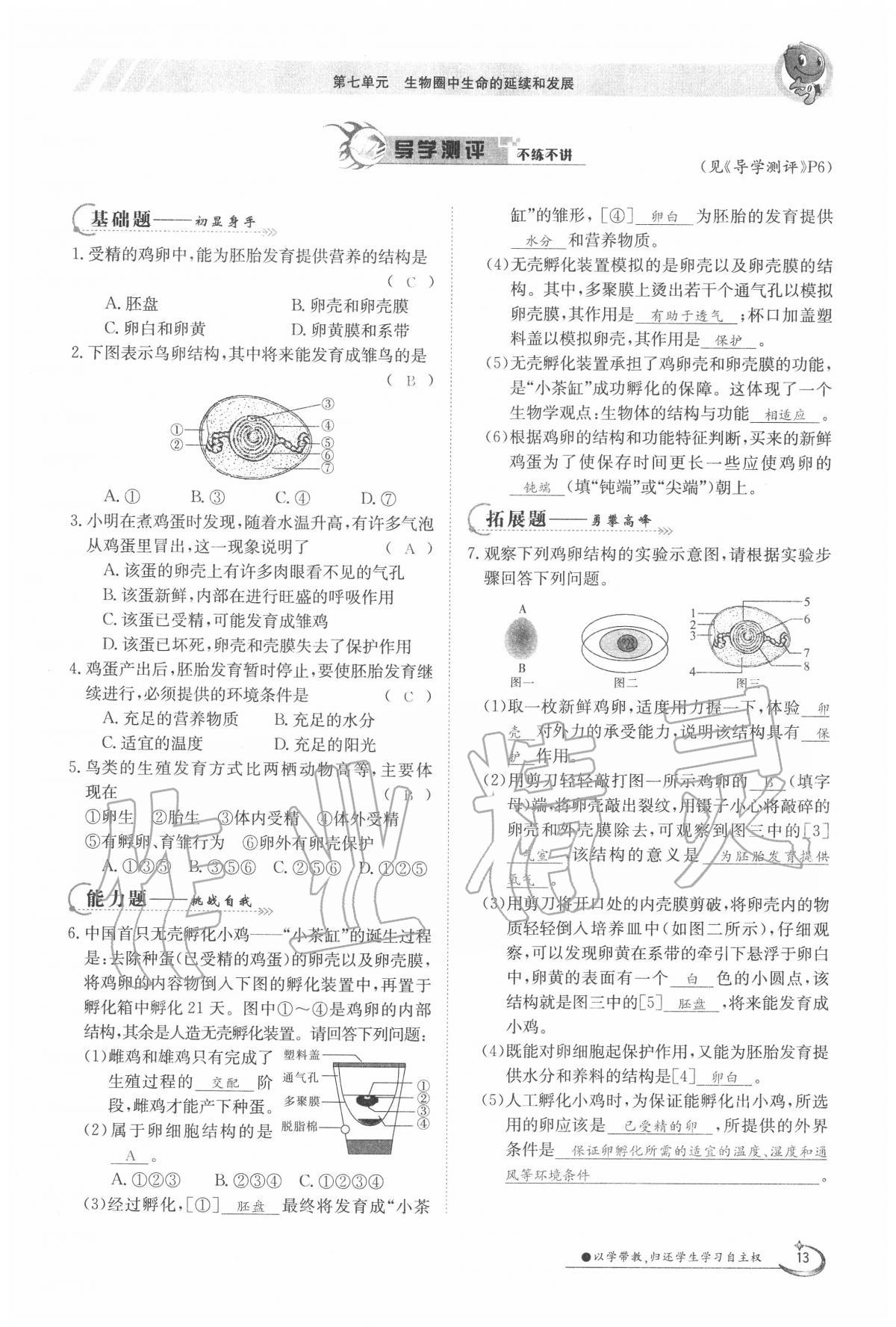 2020年金太陽導(dǎo)學(xué)案八年級生物下冊人教版 第13頁