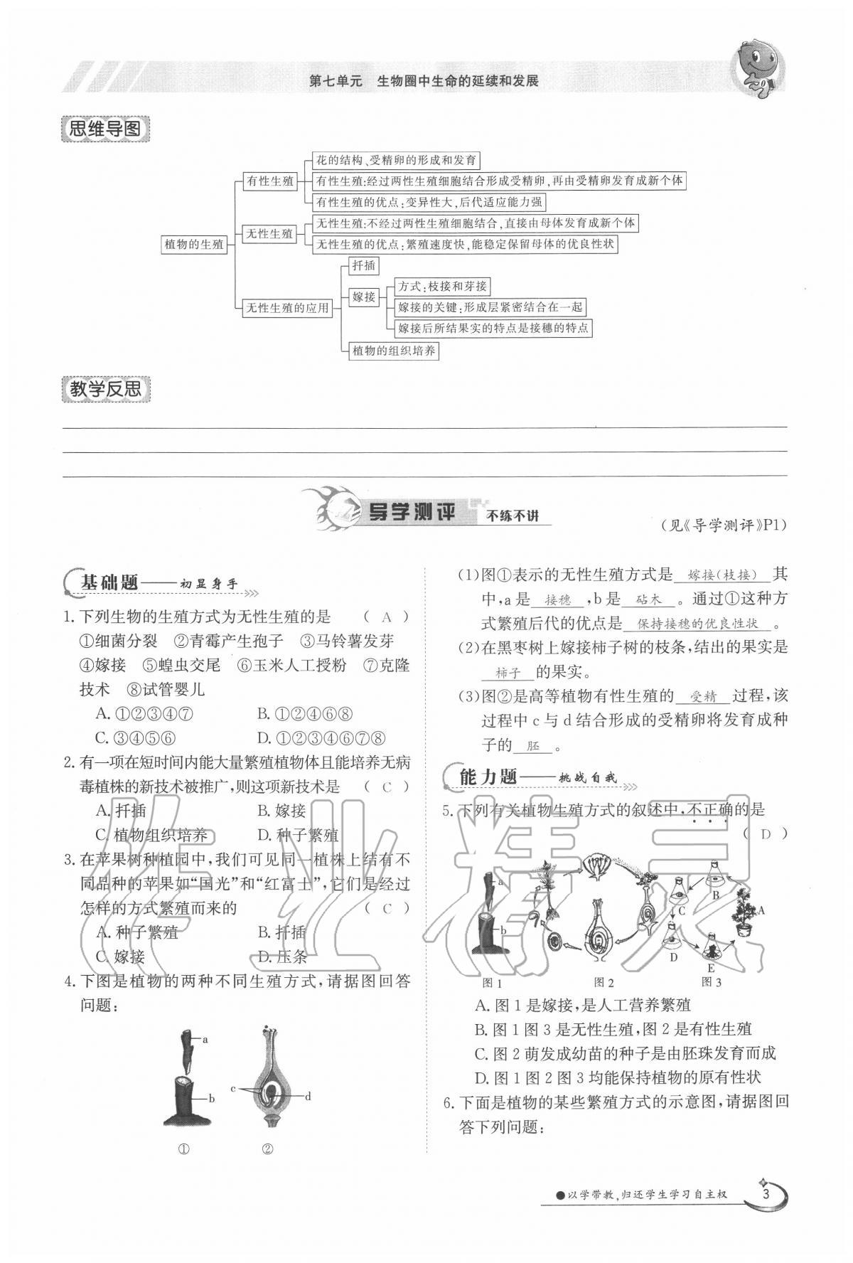 2020年金太陽導學案八年級生物下冊人教版 第3頁