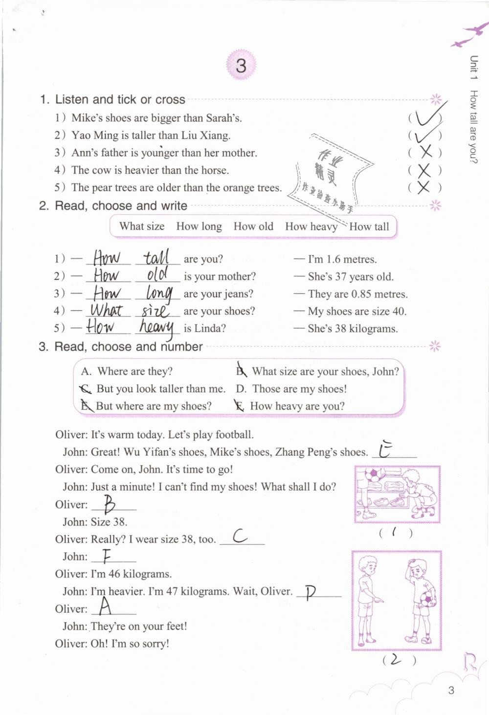 2020年英語作業(yè)本六年級(jí)下冊(cè)人教版浙江教育出版社 第3頁