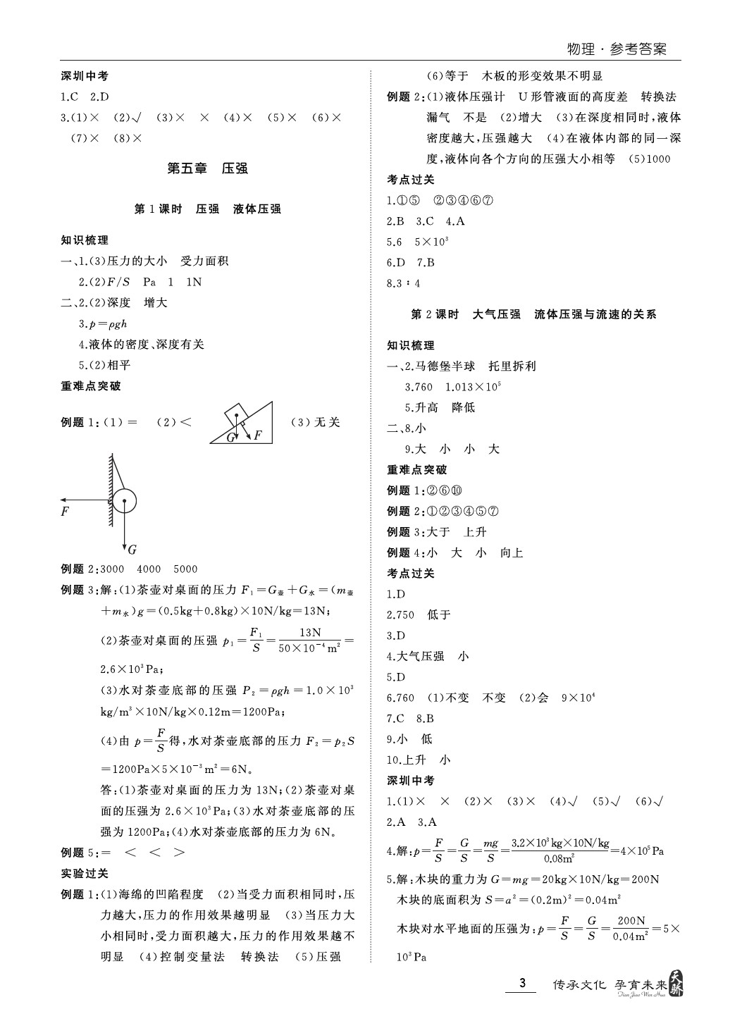 2020年新课标中考宝典物理深圳专版 第3页