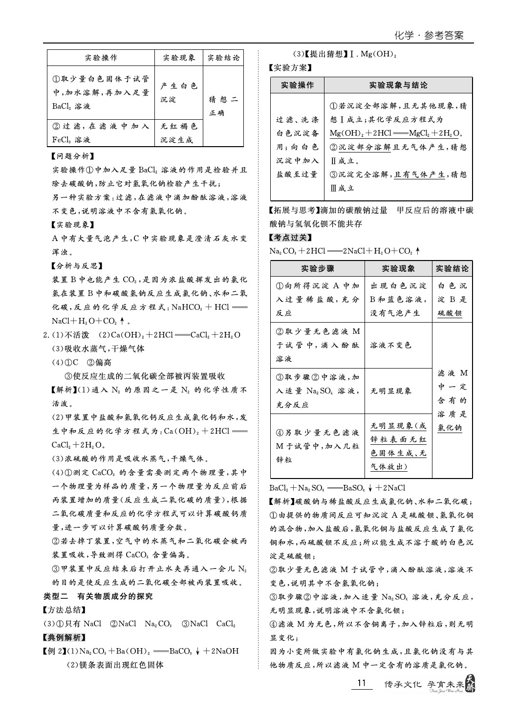 2020年新課標中考寶典化學深圳專版 第11頁