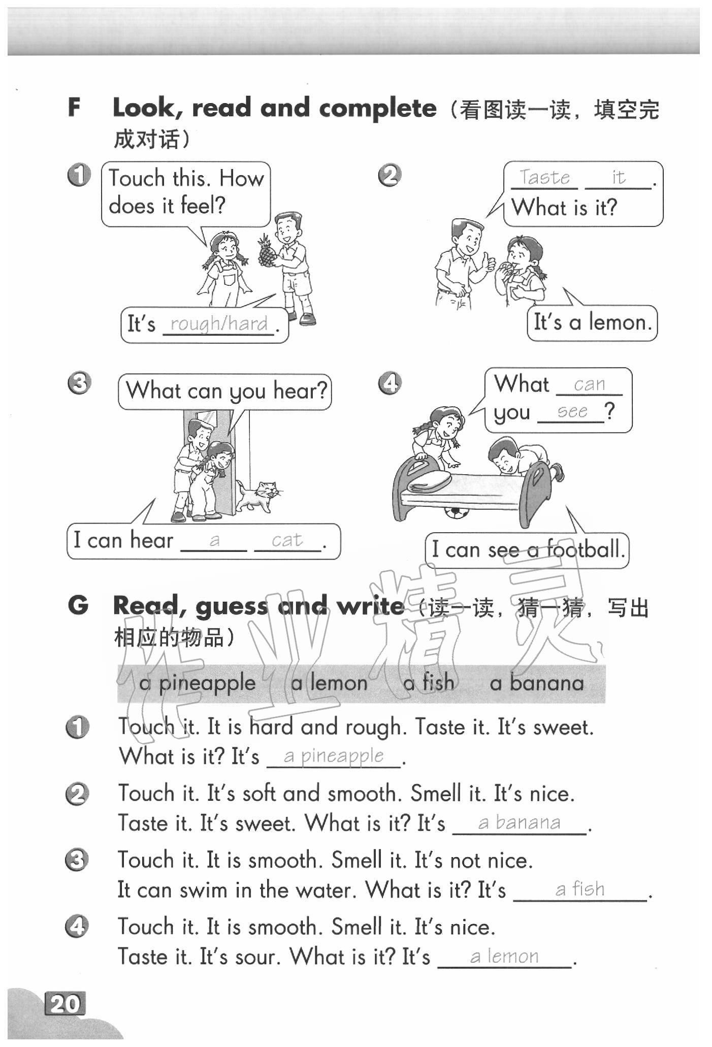 2020年英语练习部分三年级第二学期牛津上海版 参考答案第20页