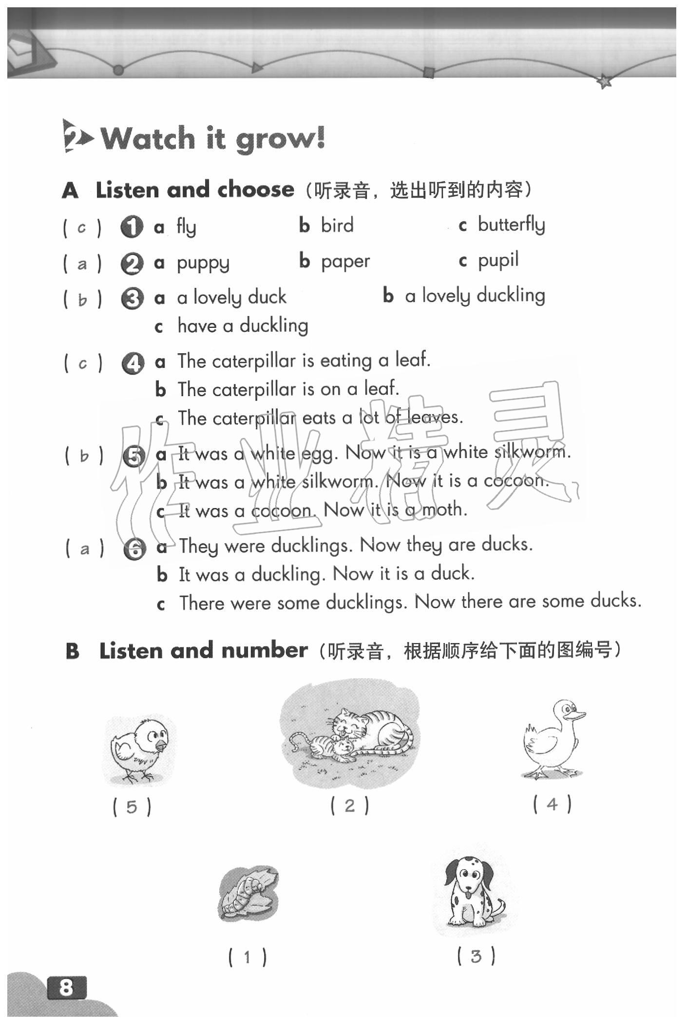 2020年英語練習(xí)部分五年級(jí)第二學(xué)期牛津上海版 參考答案第8頁(yè)