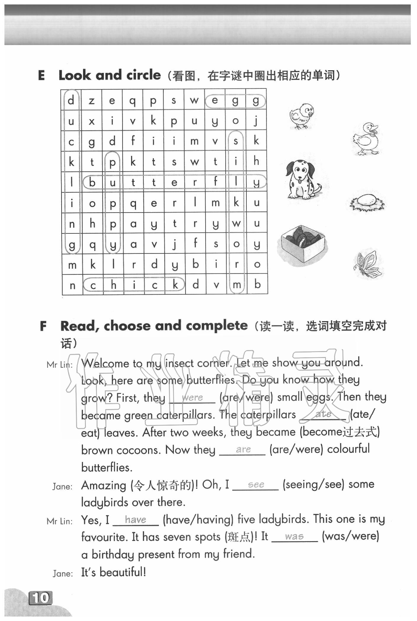 2020年英語練習(xí)部分五年級第二學(xué)期牛津上海版 參考答案第10頁