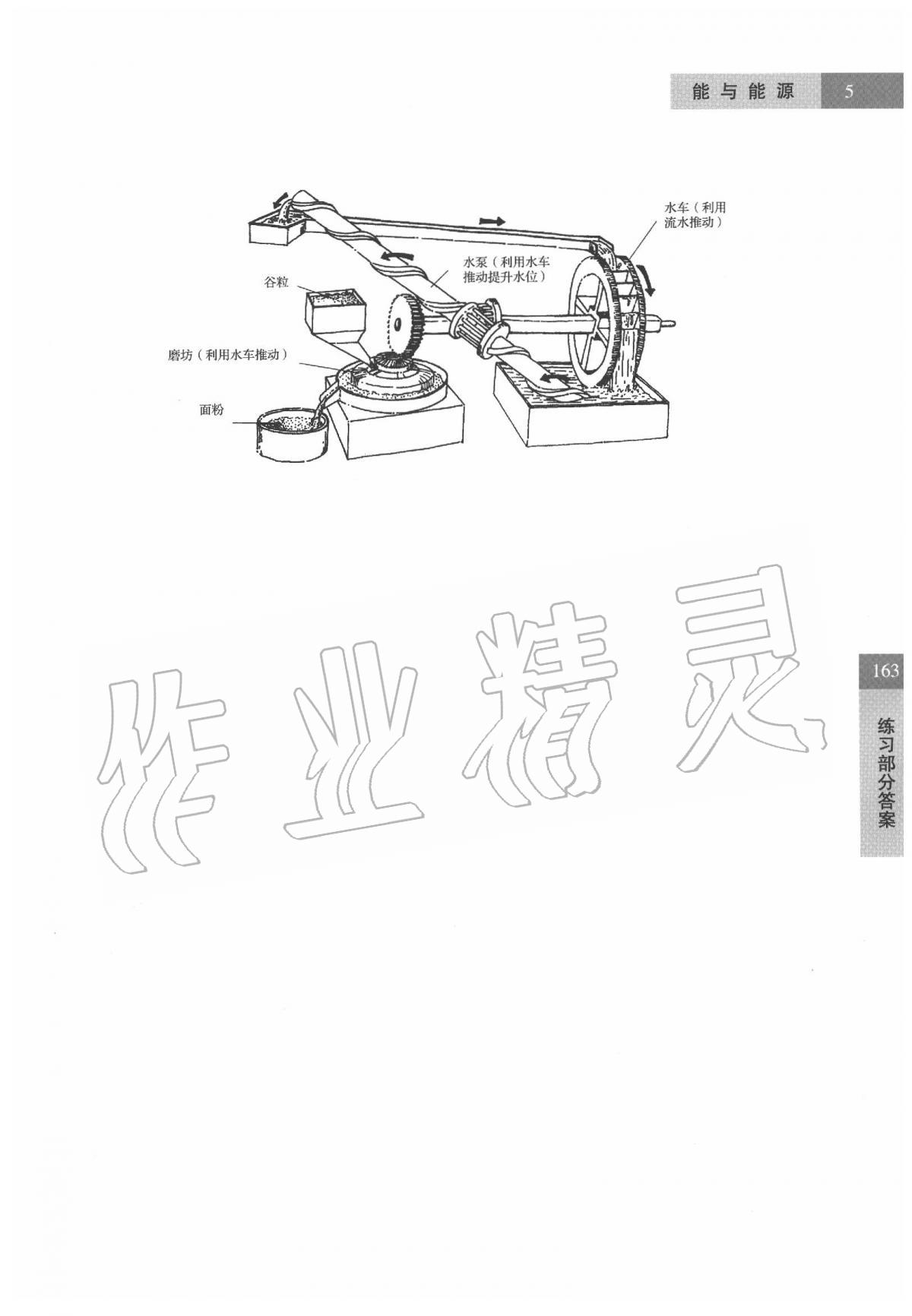 2020年科學(xué)練習(xí)部分六年級第二學(xué)期牛津上海版 參考答案第5頁