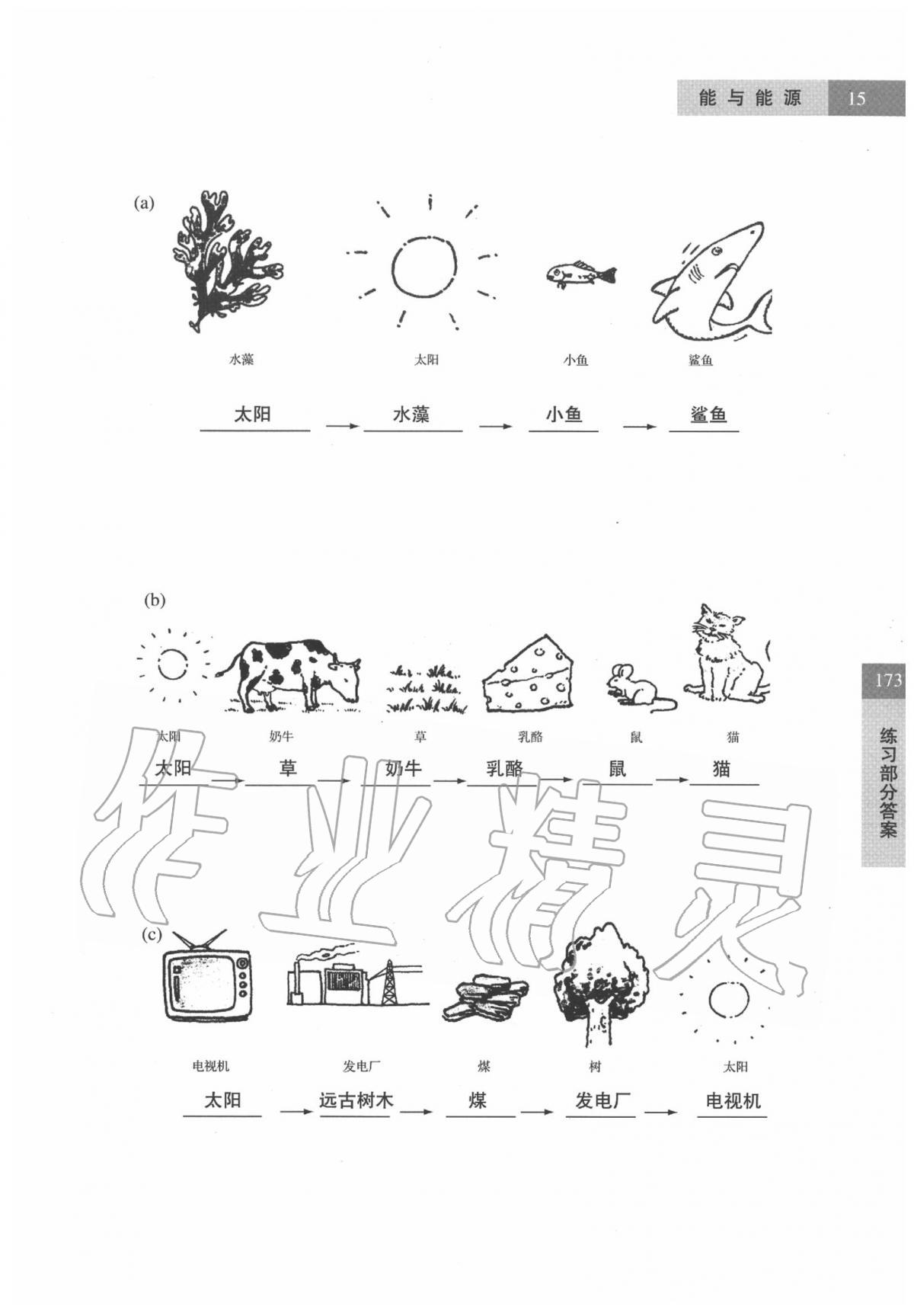 2020年科學(xué)練習(xí)部分六年級第二學(xué)期牛津上海版 參考答案第15頁