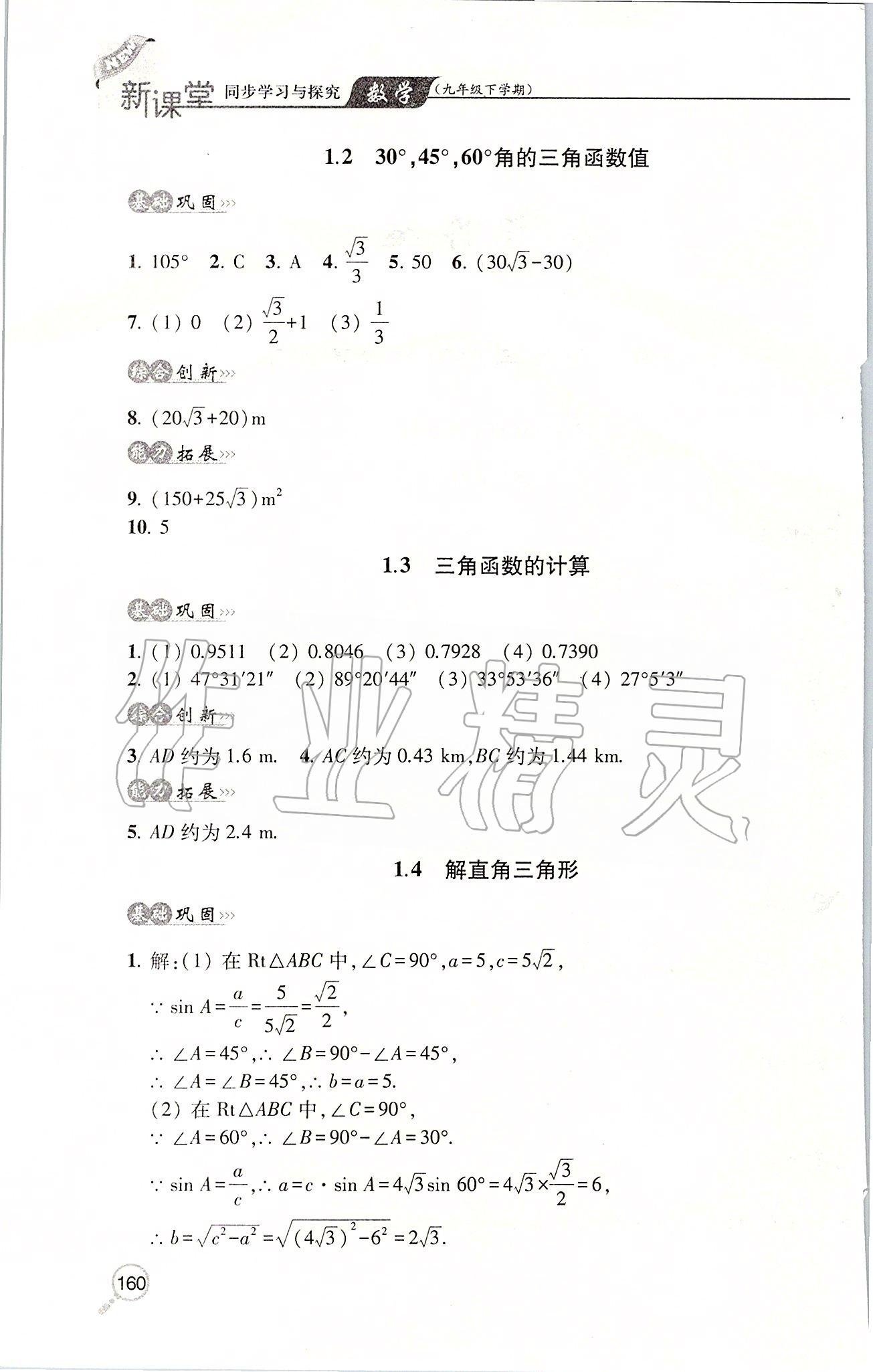 2020年新课堂同步学习与探究九年级数学下学期北师大版 第2页