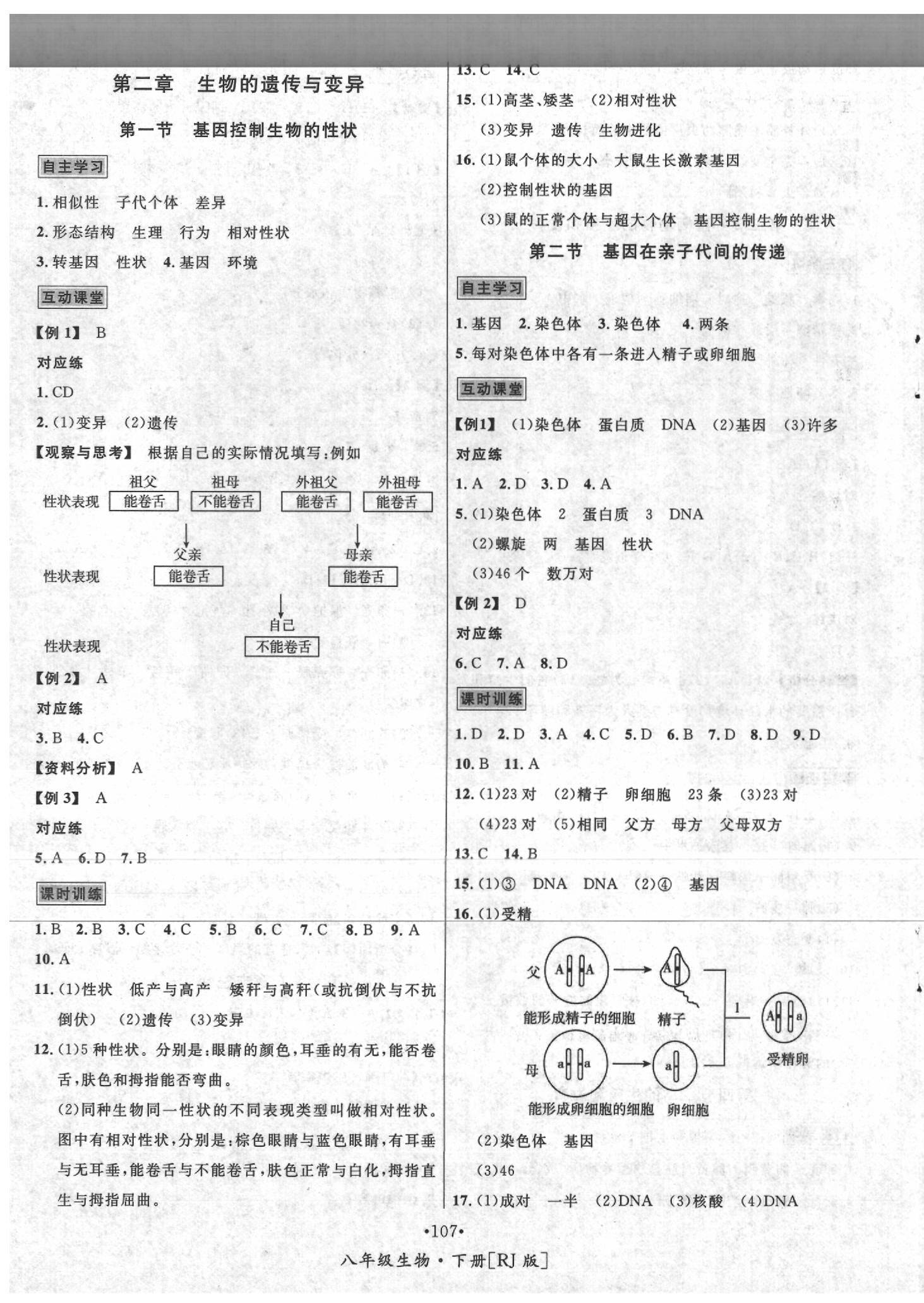 2020年優(yōu)學名師名題八年級生物下冊人教版 第3頁