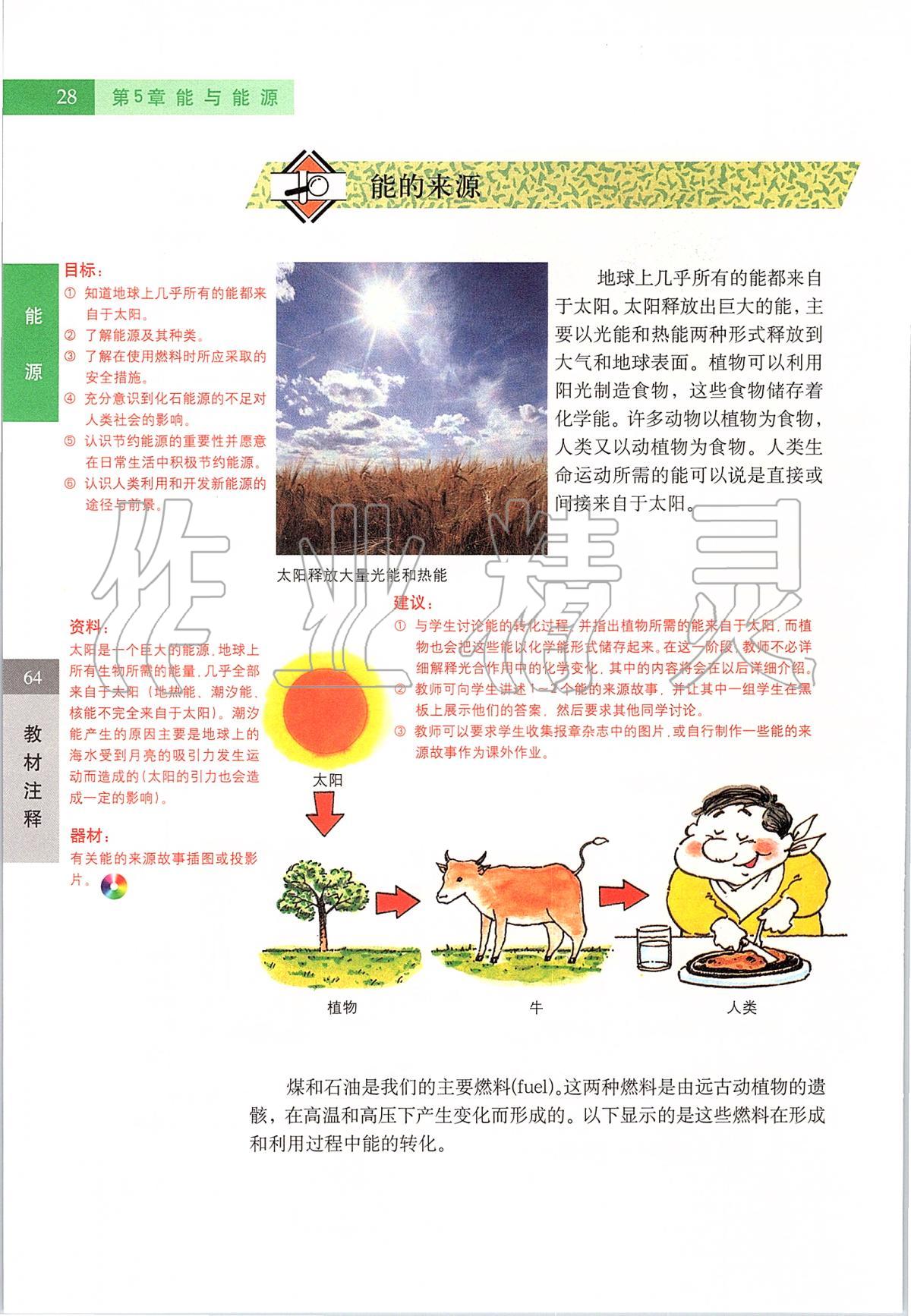 2020年课本六年级科学第二学期沪教版 第28页